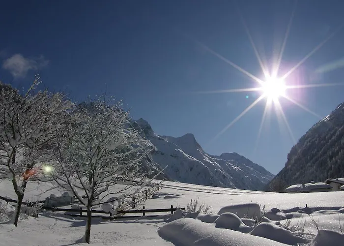 Appartamento Brigitta *