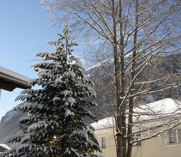 Appartamento Brigitta *