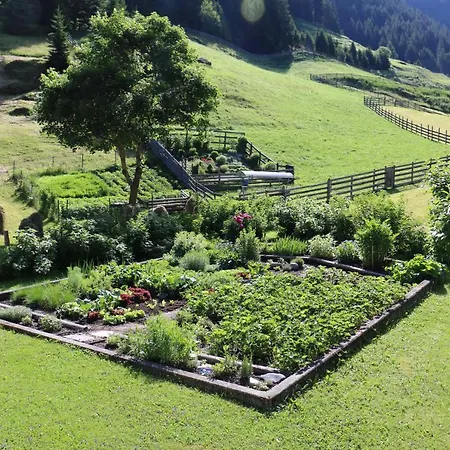 Brigitta * سانكت ليونارد إم بيتزتال